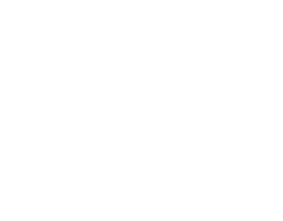 Edubiz Networks Logo